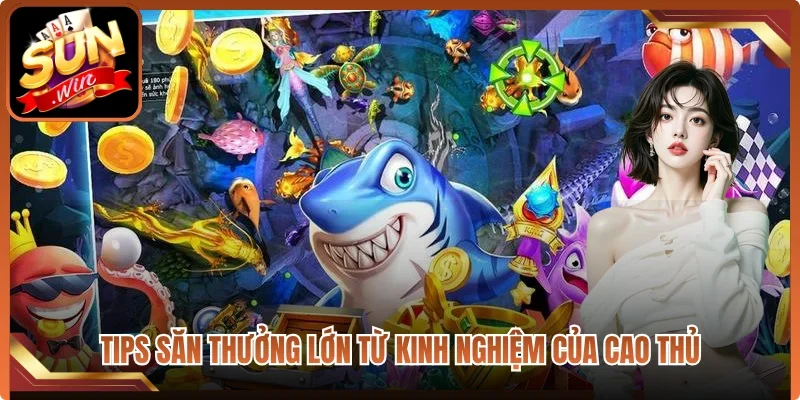 Tips săn thưởng lớn từ kinh nghiệm của cao thủ